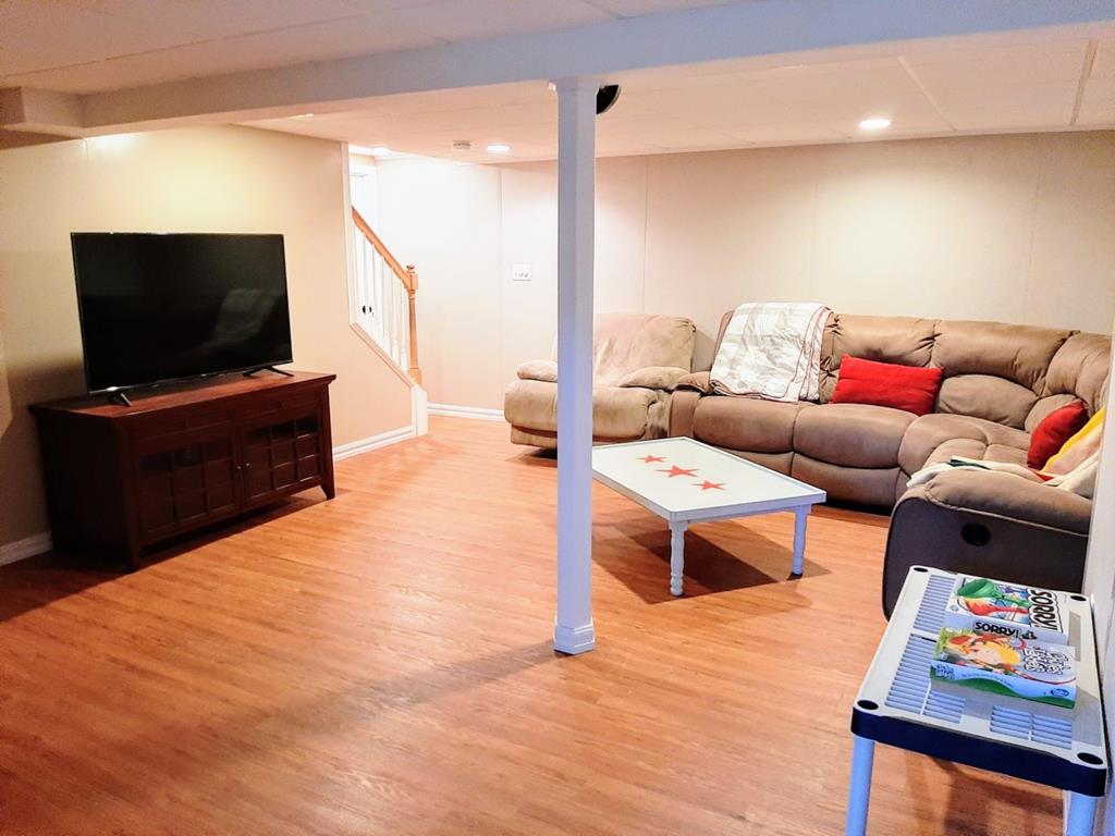 FANTASTIC lower level walk-out family room with Roku TV