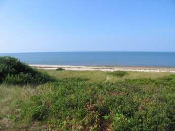 Bayside Wellfleet Cape Cod Vacation Rental - The Rental Company