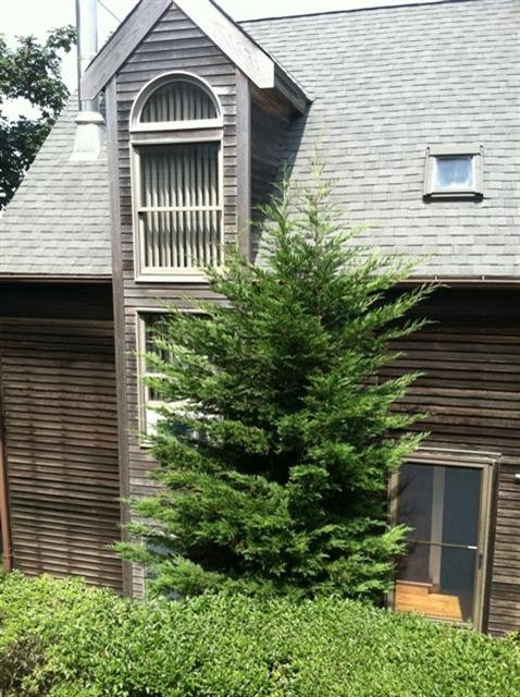 Bayside Provincetown Cape Cod Vacation Rental - The Rental Company