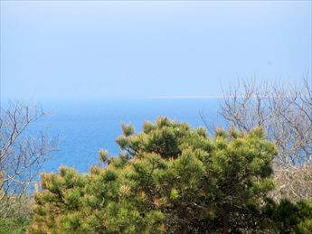 Bayside Truro Cape Cod Vacation Rental - The Rental Company