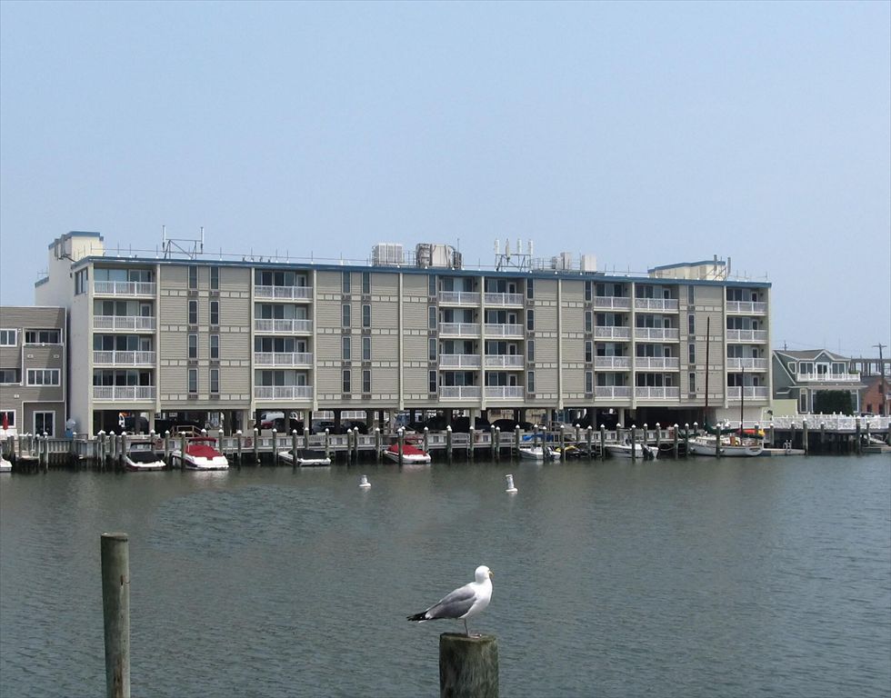 351 96th Street, Stone Harbor Vacation Rental Hugh Merkle