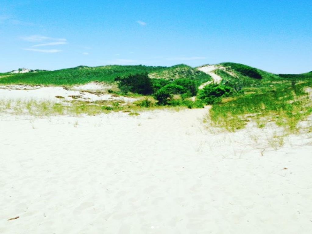 1780 Us 6 Wellfleet Ma Directions Maps Photos And Amenities