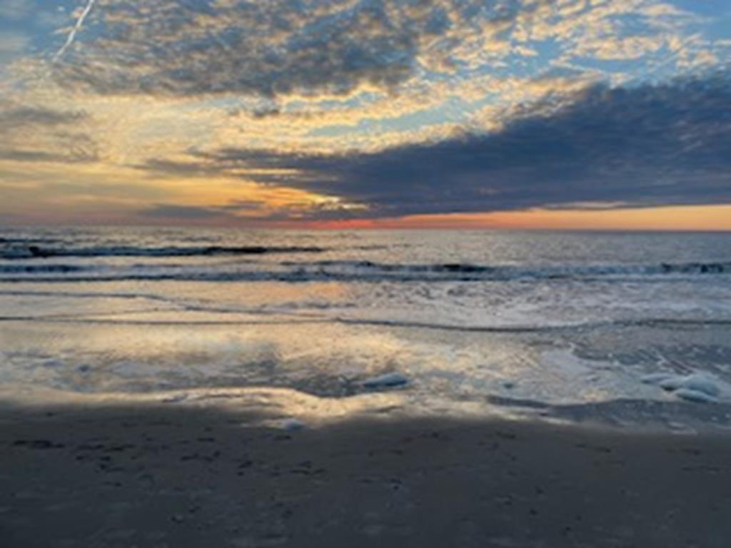 Newly Renovated Modern Condo | Photo 17