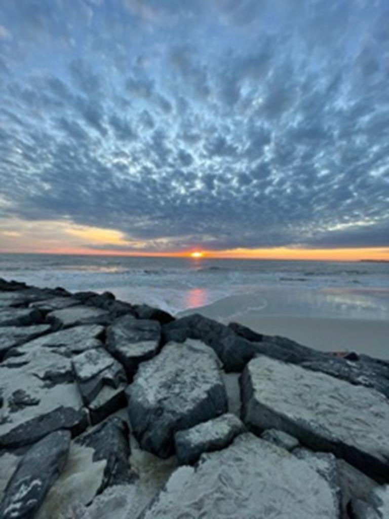 Newly Renovated Modern Condo | Photo 18