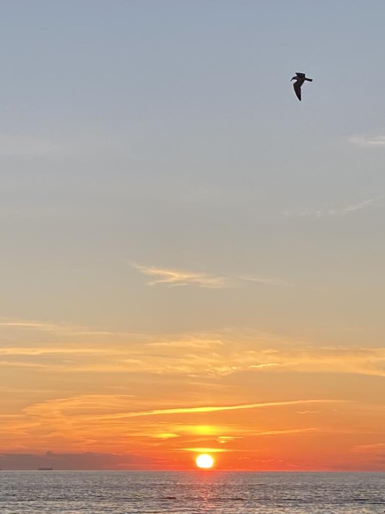 Newly Renovated Modern Condo | Photo 20