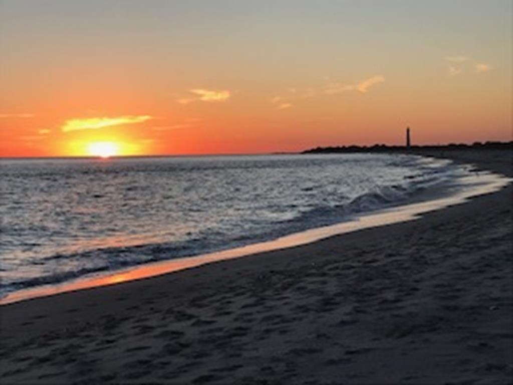 Newly Renovated Modern Condo | Photo 21