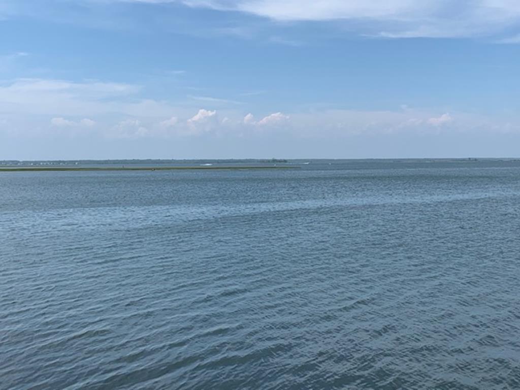309 West 4th Street, Ship Bottom (Bay Side)