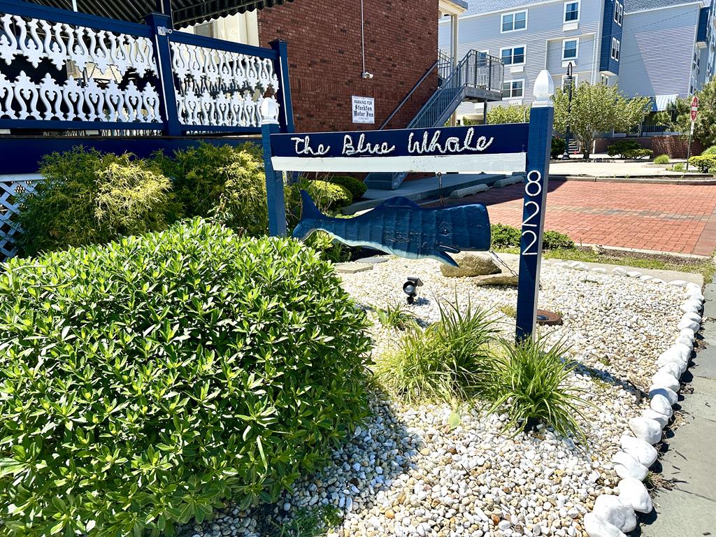 822 Stockton Unit 3/The Blue Whale | Photo 19