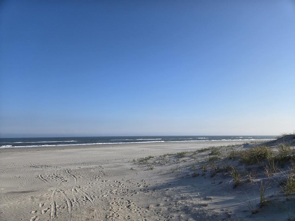 7317 Pleasure Avenue, Sea Isle City (Beach Front)