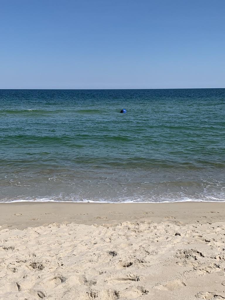 8309 Long Beach Blvd, Brighton Beach (Ocean Side)