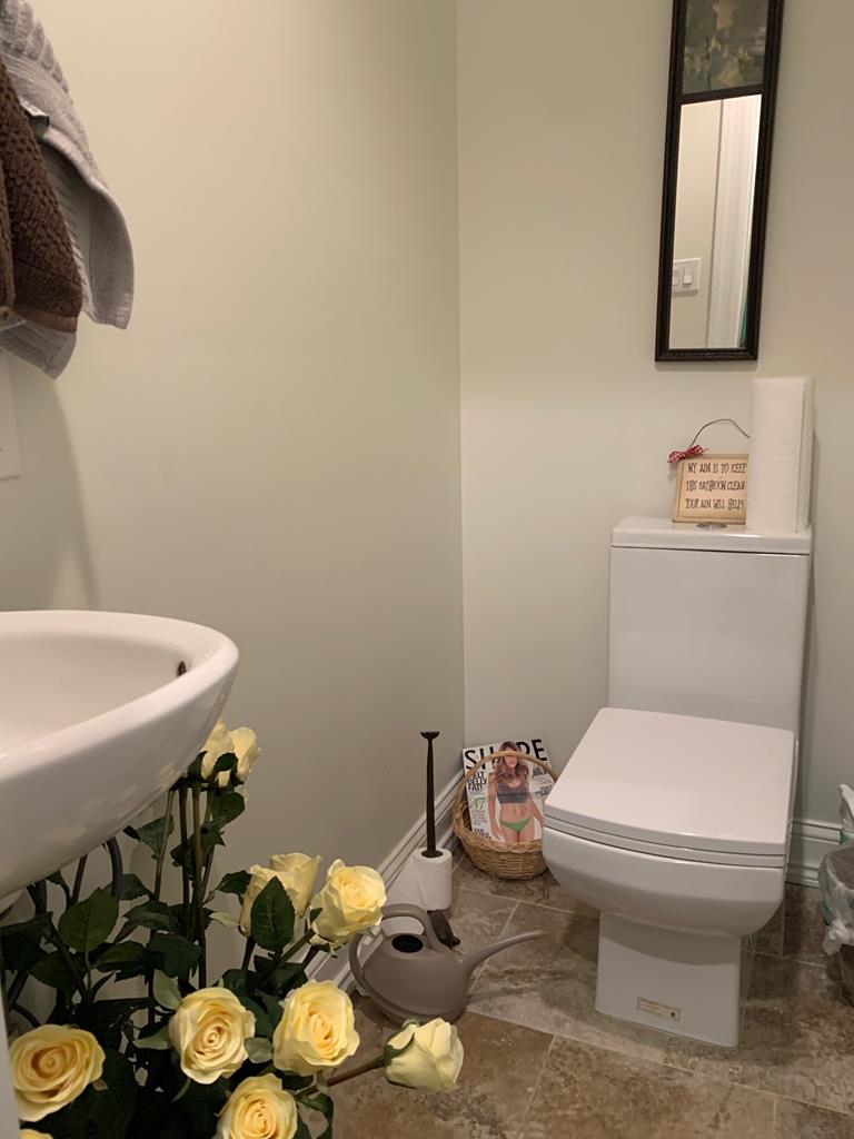 Quiet and Peaceful Single Family Home | Photo 13