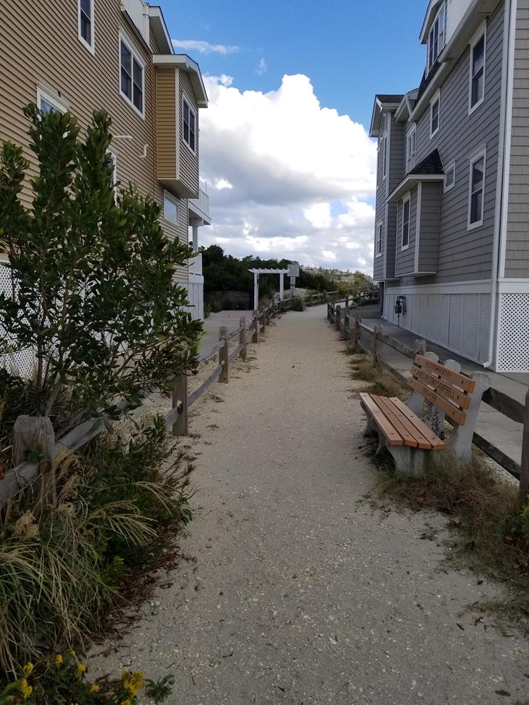 6505 Pleasure Avenue, Sea Isle City (Beach Front)