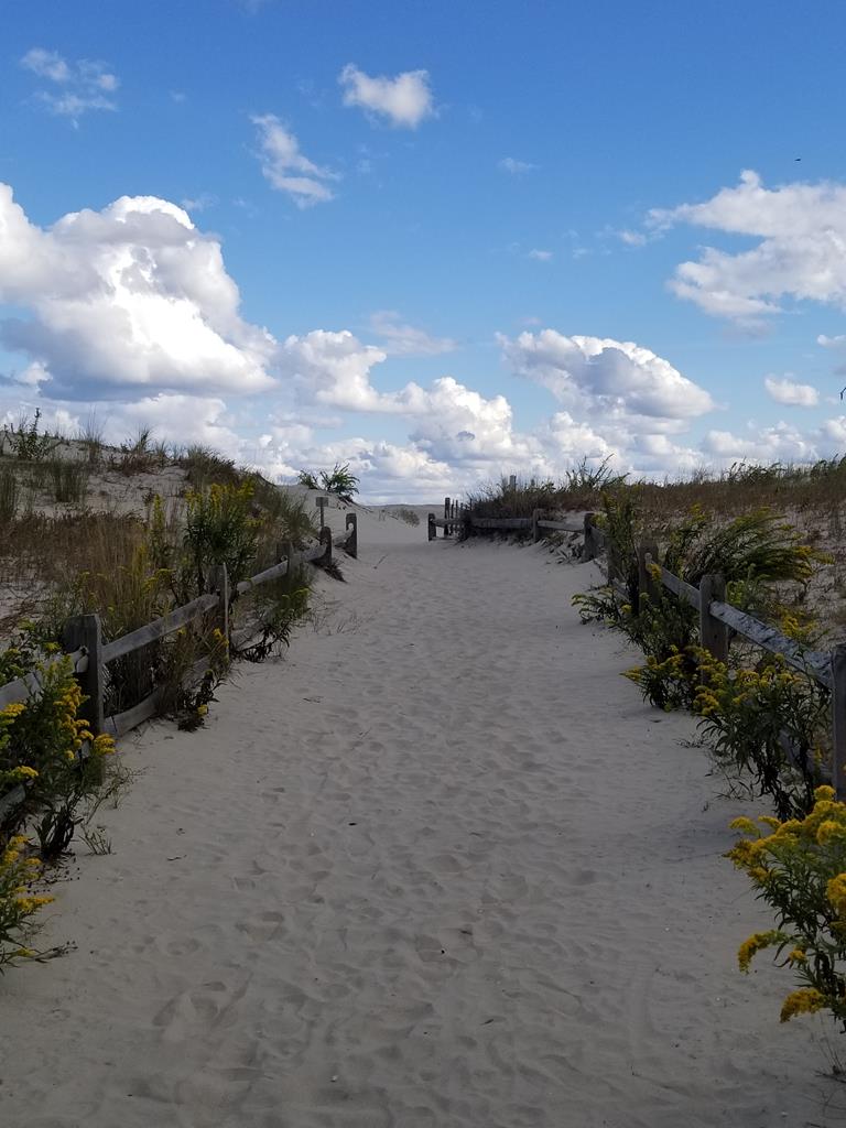 6505 Pleasure Avenue, Sea Isle City (Beach Front)