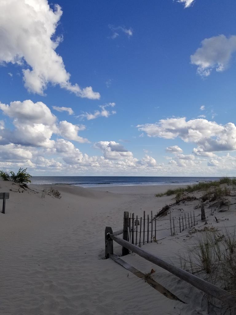6505 Pleasure Avenue, Sea Isle City (Beach Front)