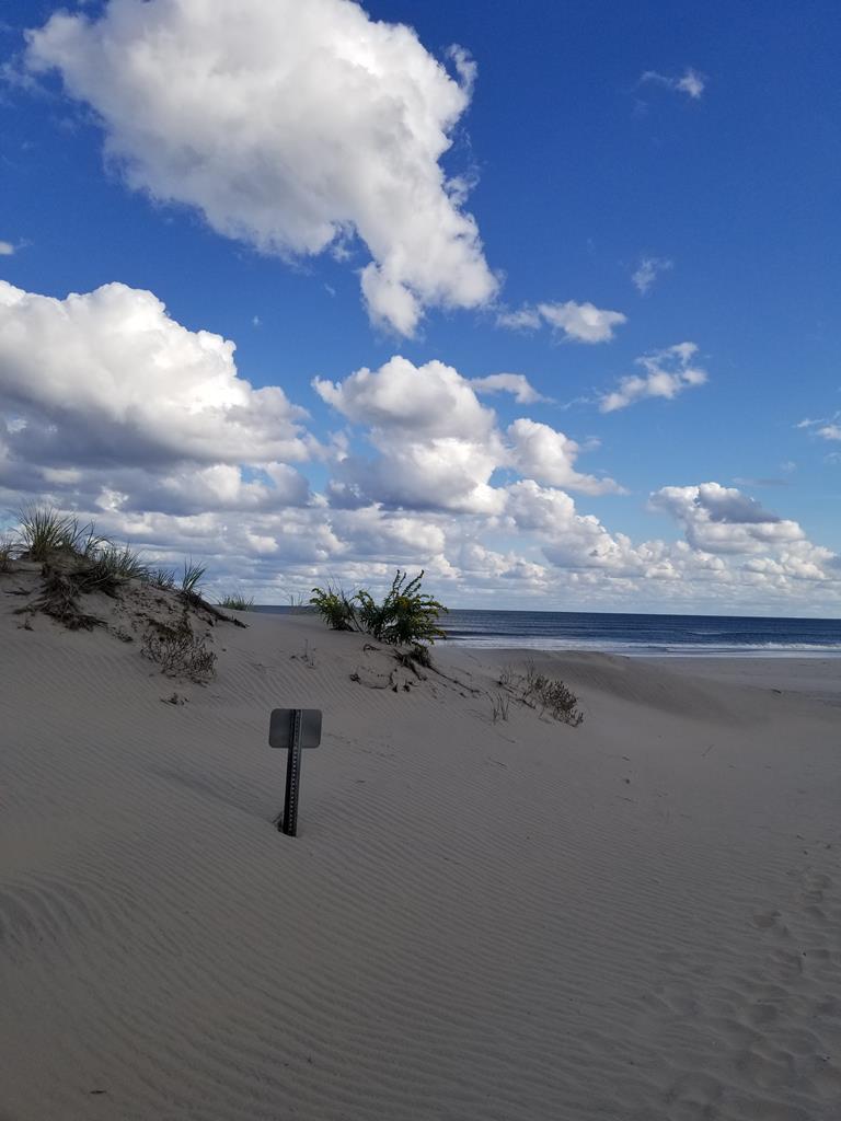 6505 Pleasure Avenue, Sea Isle City (Beach Front)