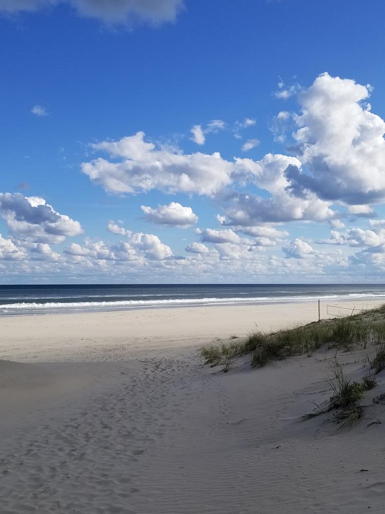 6505 Pleasure Avenue, Sea Isle City (Beach Front)