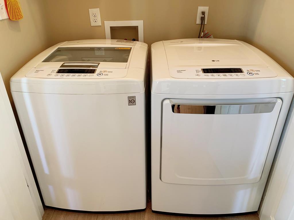 Bayside Beauty | Photo 26