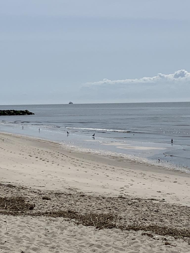 Bayside Beauty | Photo 30