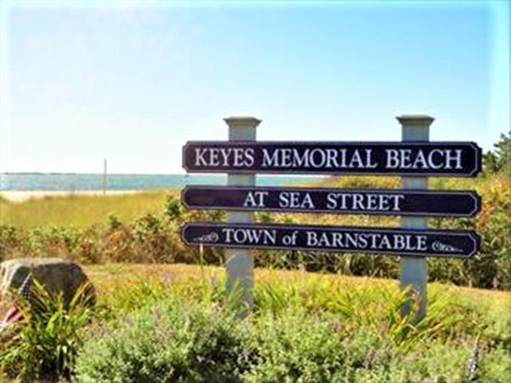 Watch the ferries from Keyes Beach !