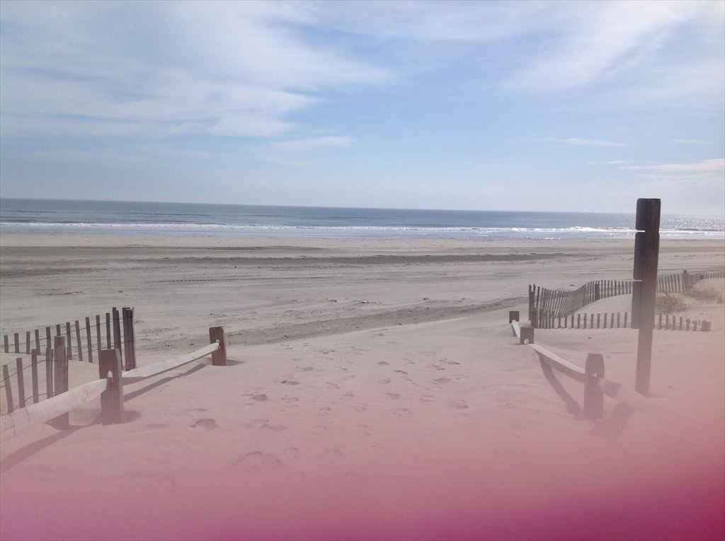 6592 Ocean Drive, Avalon (Southend Avalon)