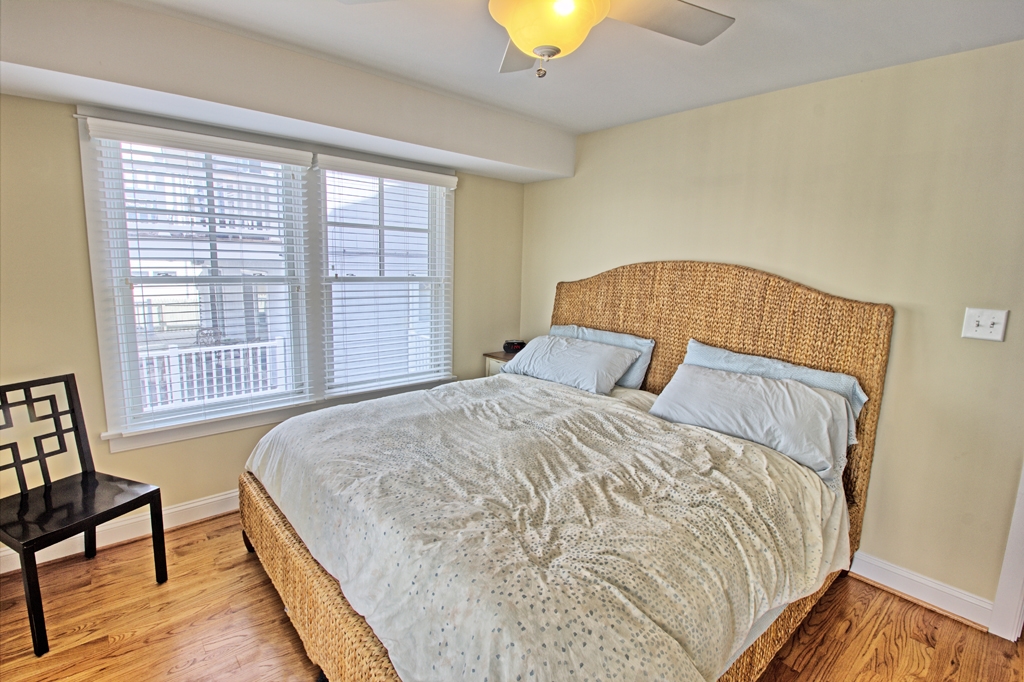 6592 Ocean Drive, Avalon (Southend Avalon)