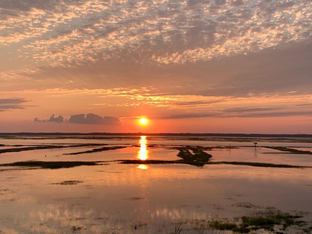6712 Central Avenue, Sea Isle City (Bay Side)