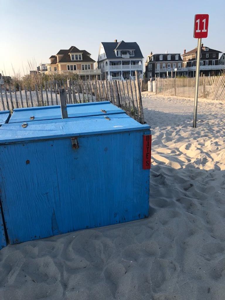 Sandy Pages | Photo 33