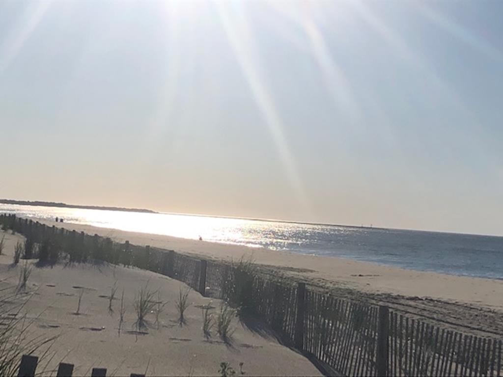 The Rose at Cape Roc (1/2 Block To Poverty Beach) | Photo 28