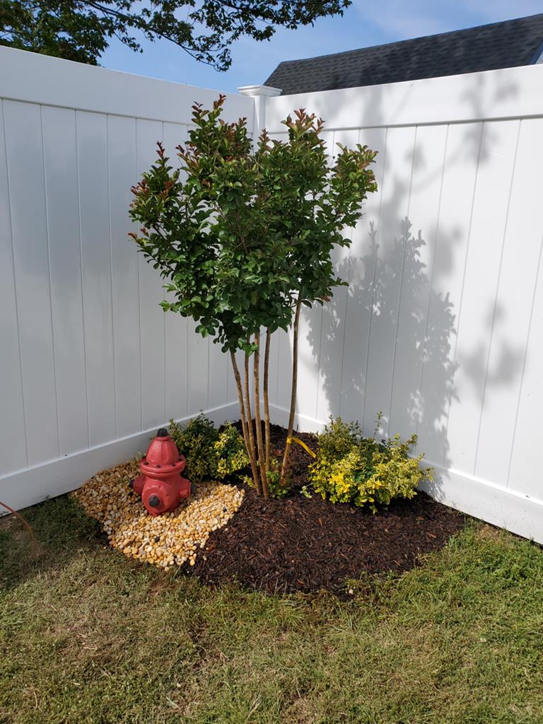 1251 Illinois Ave | Photo 21