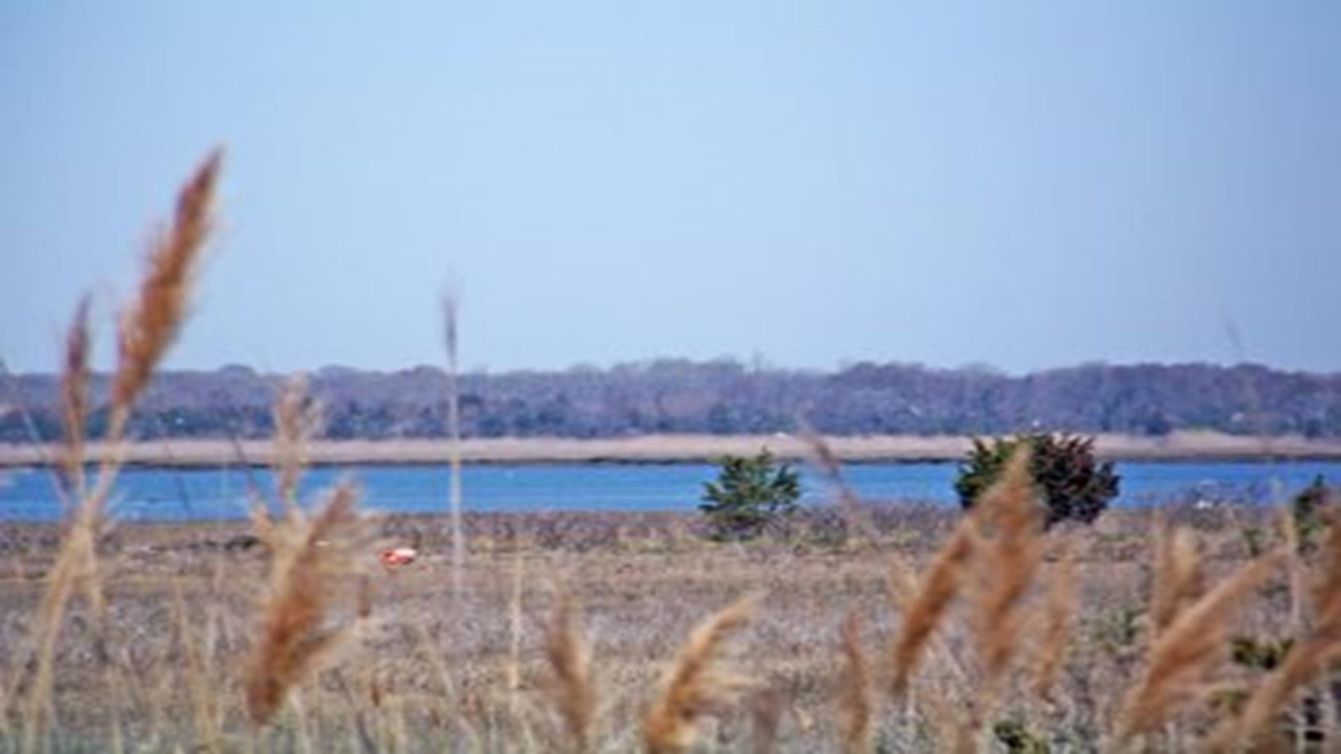 120 East South Station Avenue, Wildwood (Diamond Beach Bay Side)