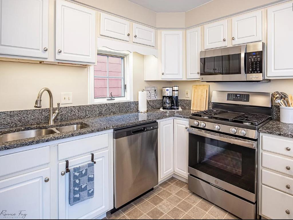 Cape Marigold | Photo 15