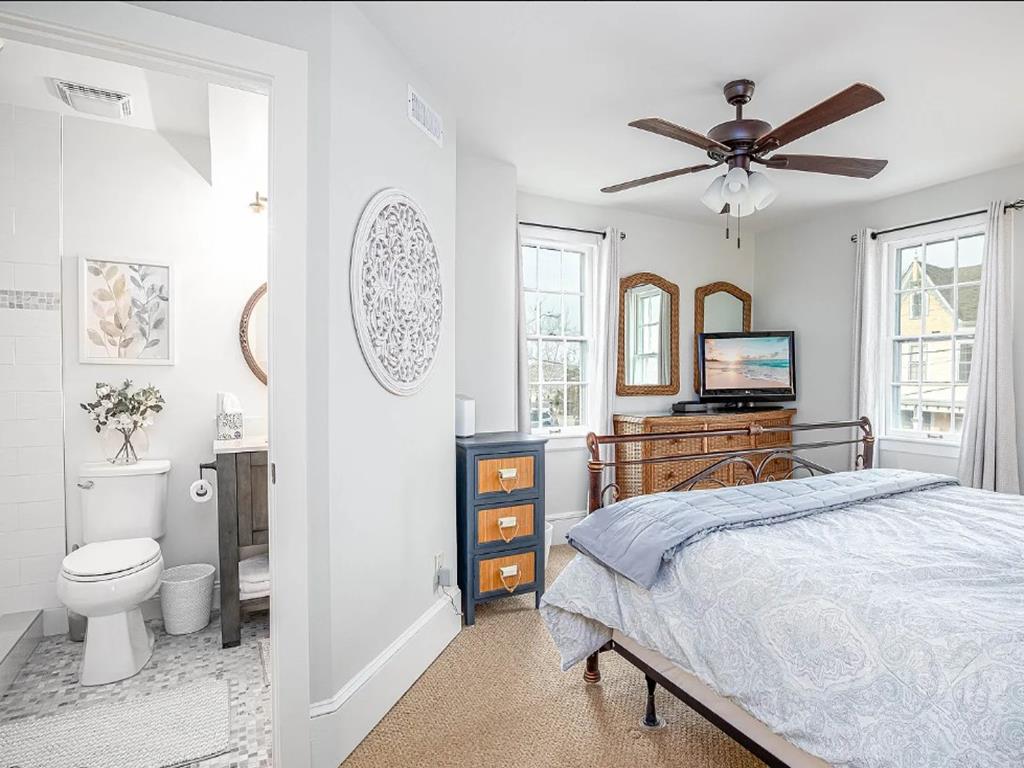 Cape Marigold | Photo 18