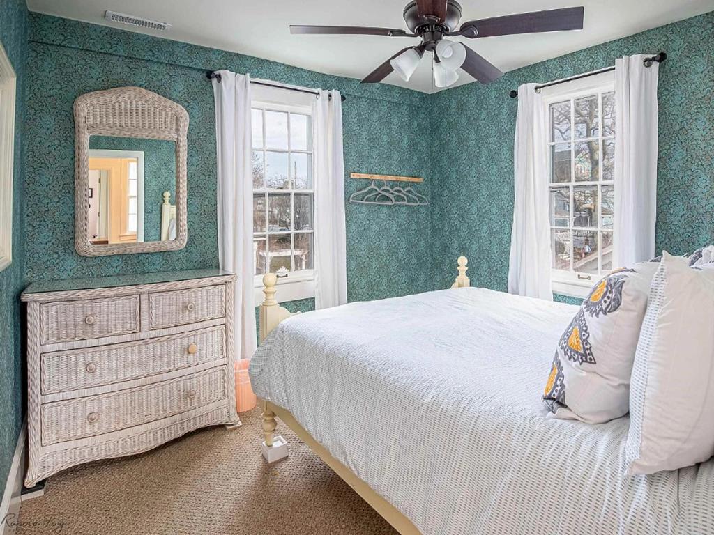 Cape Marigold | Photo 20