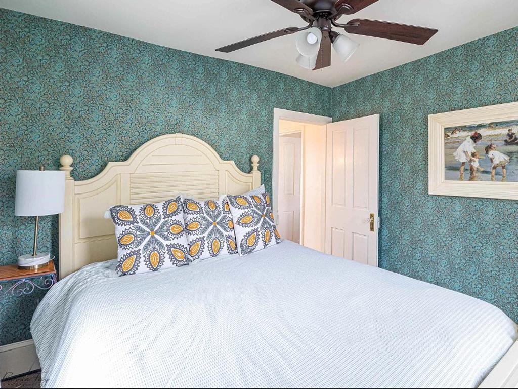 Cape Marigold | Photo 21