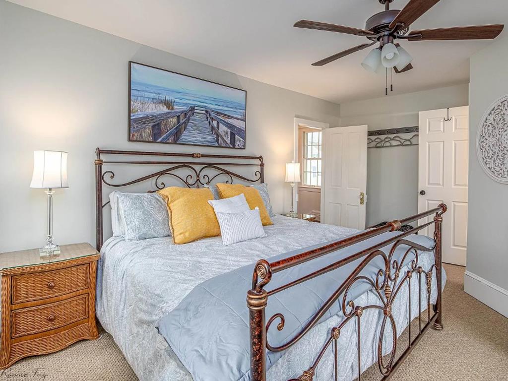 Cape Marigold | Photo 22