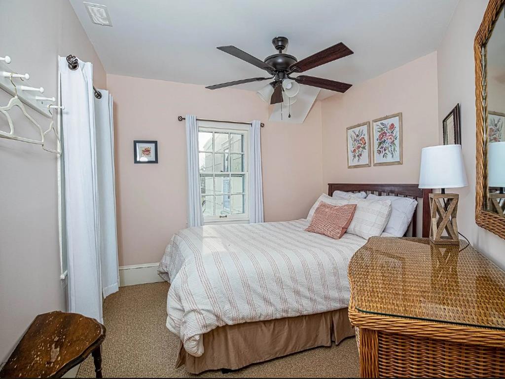 Cape Marigold | Photo 23