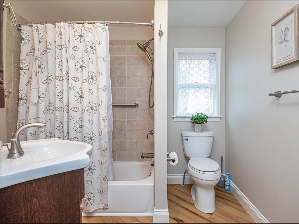 Cape Marigold | Photo 24