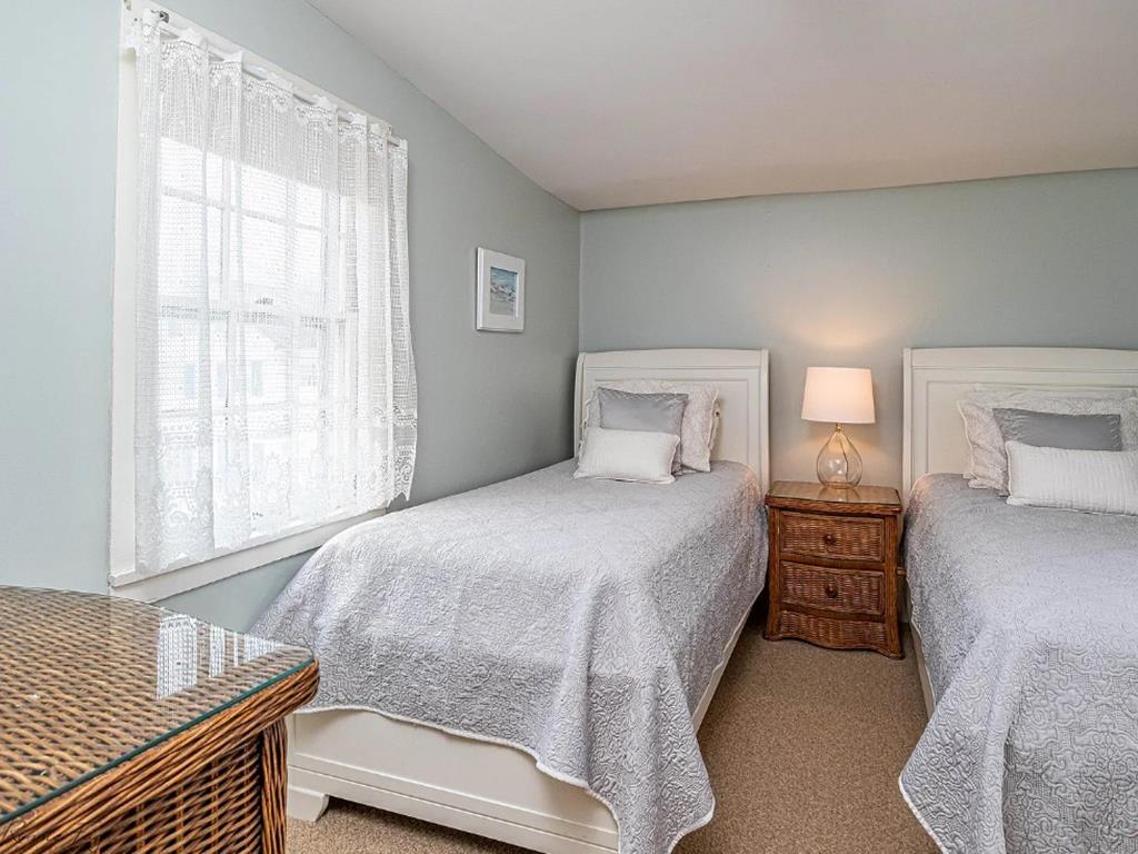 Cape Marigold | Photo 25