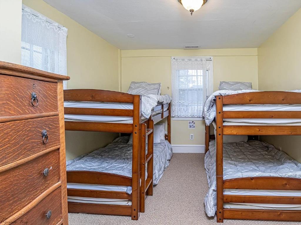 Cape Marigold | Photo 26