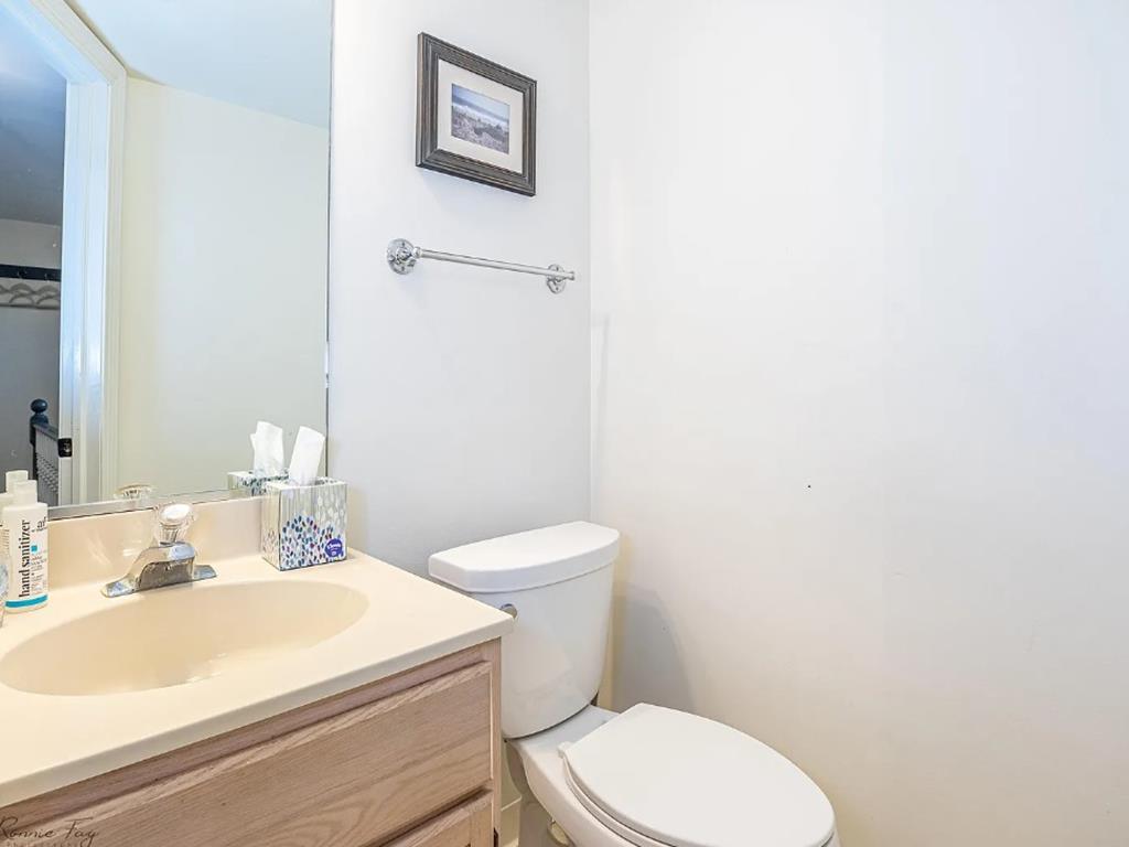 Cape Marigold | Photo 27