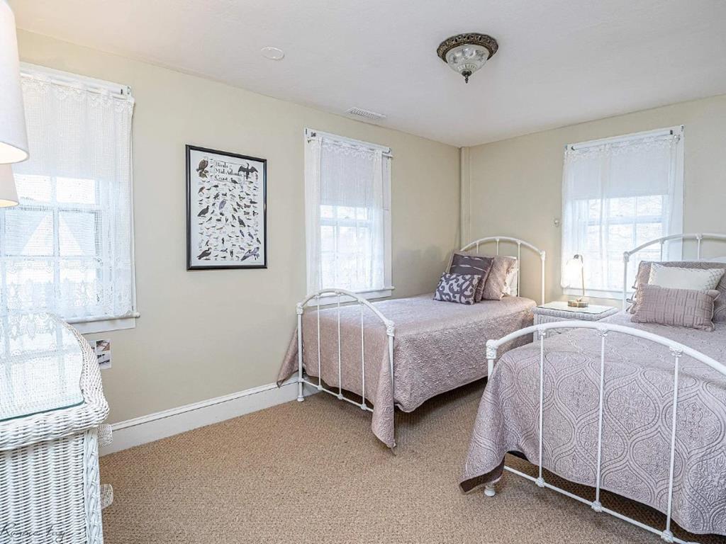 Cape Marigold | Photo 28