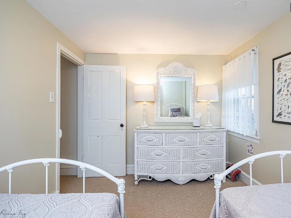 Cape Marigold | Photo 29