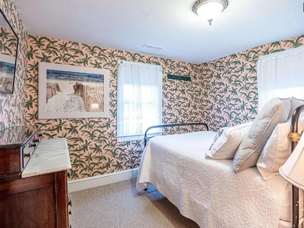 Cape Marigold | Photo 30