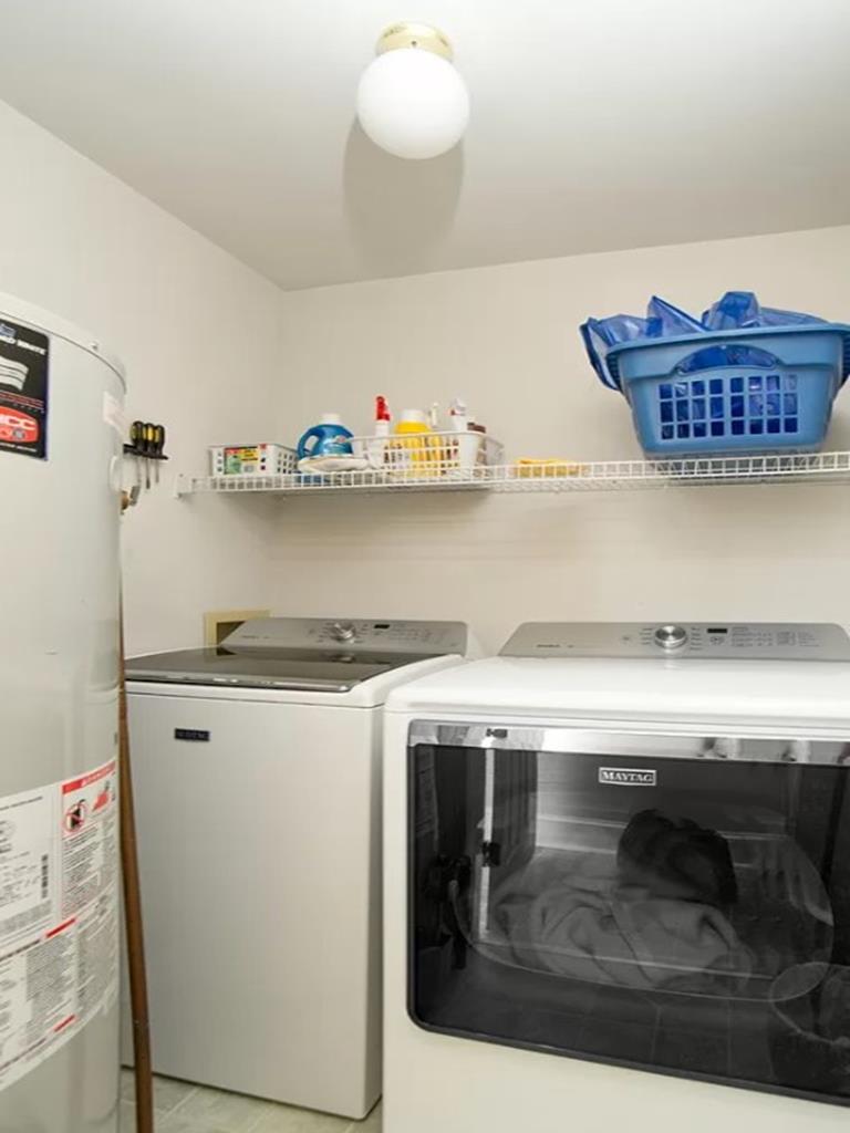 Cape Marigold | Photo 33