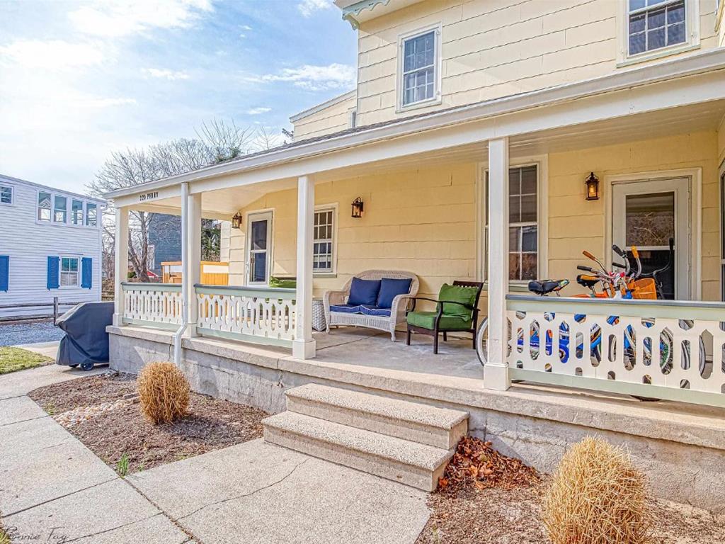 Cape Marigold | Photo 35