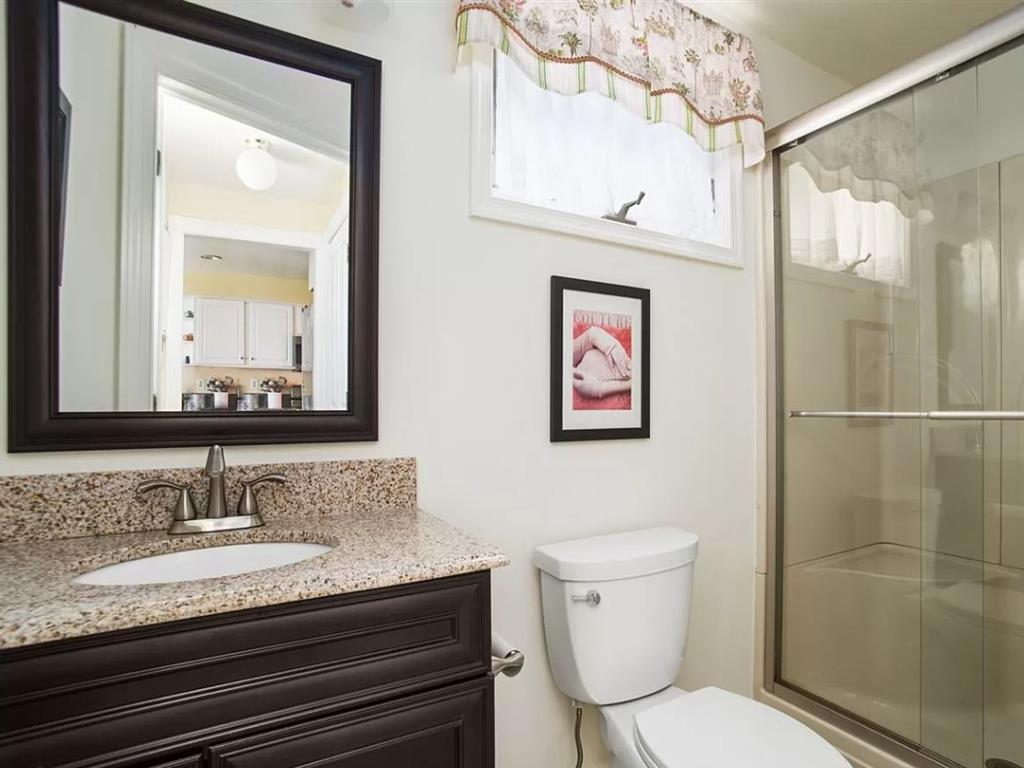 Cape Marigold | Photo 11