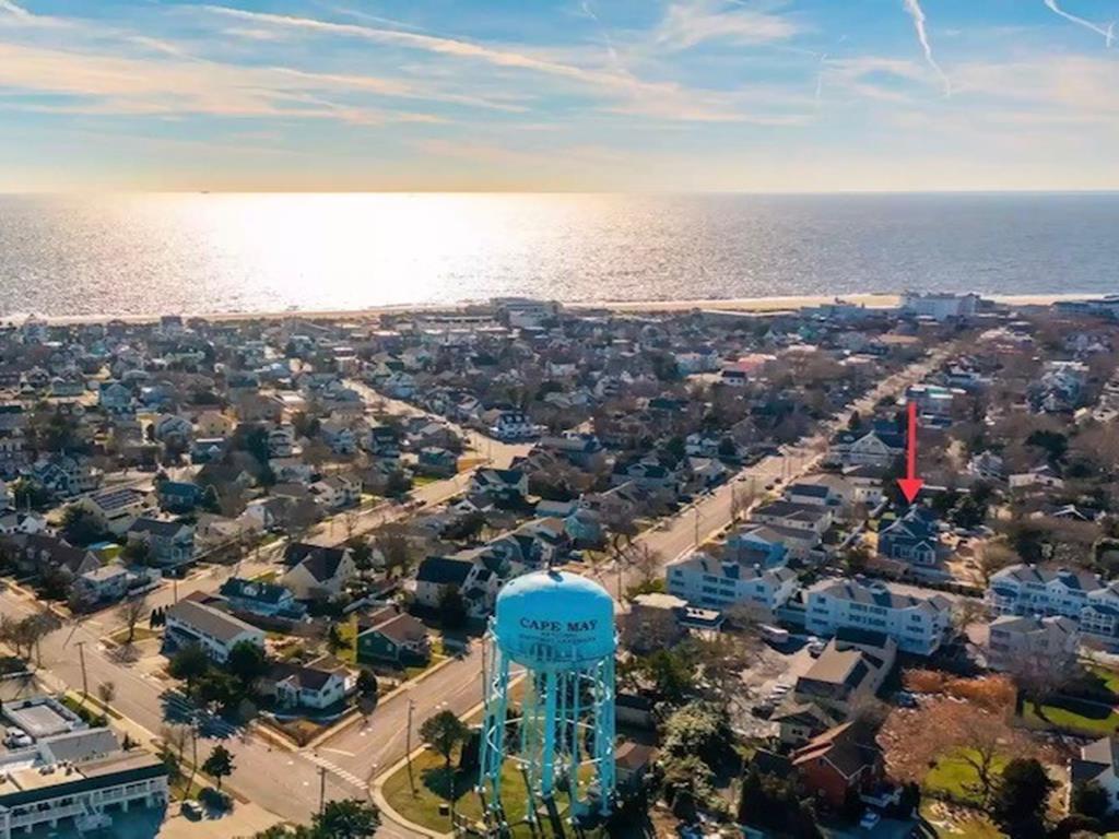 Hidden Beauty on Page Street! | Photo 4