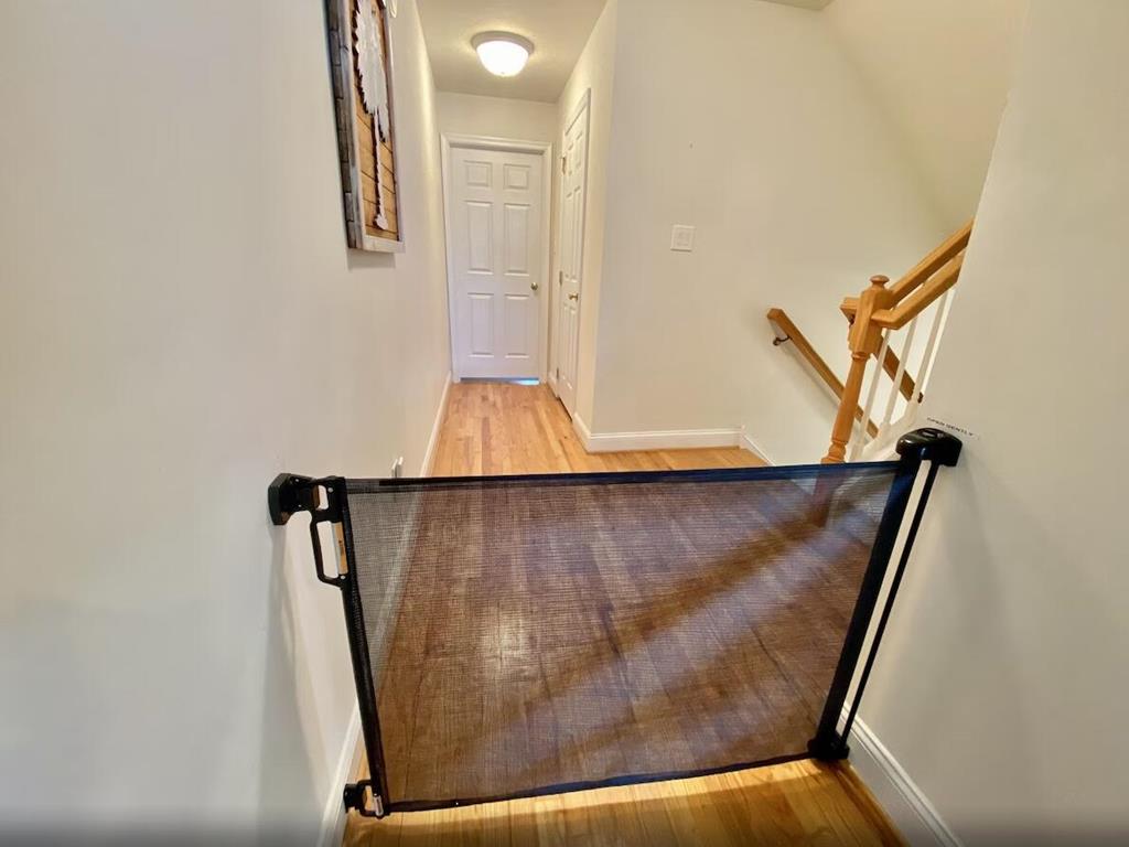 229 44th Street, Sea Isle City (Bay Side)