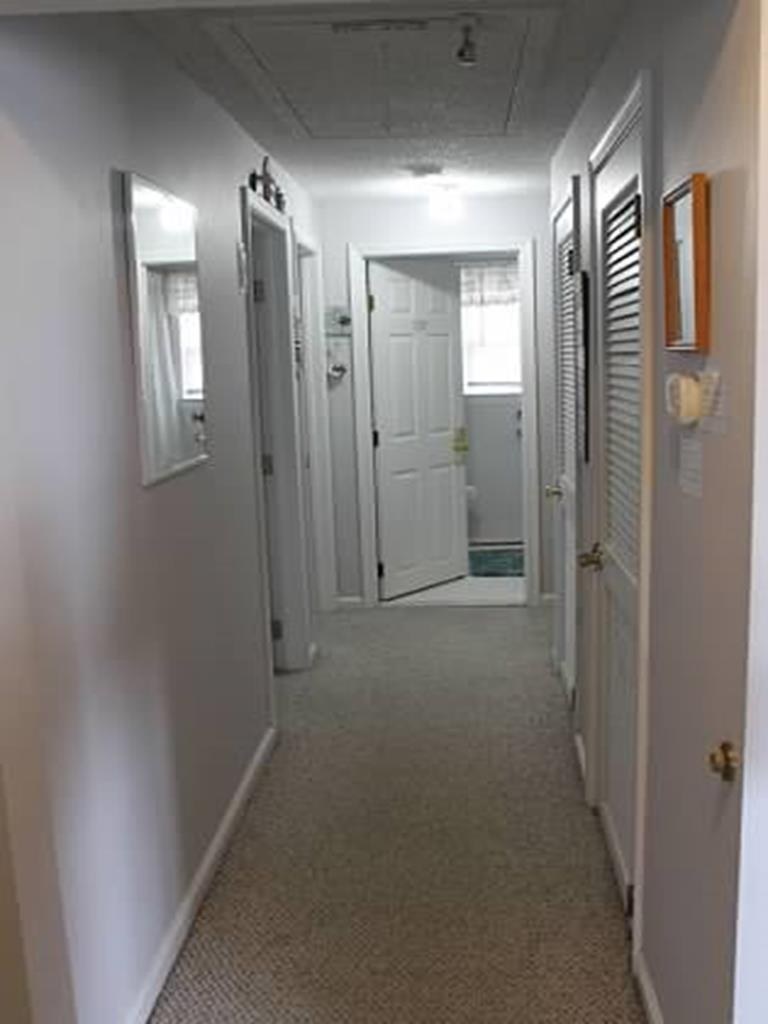 Dottys Cottage | Photo 15