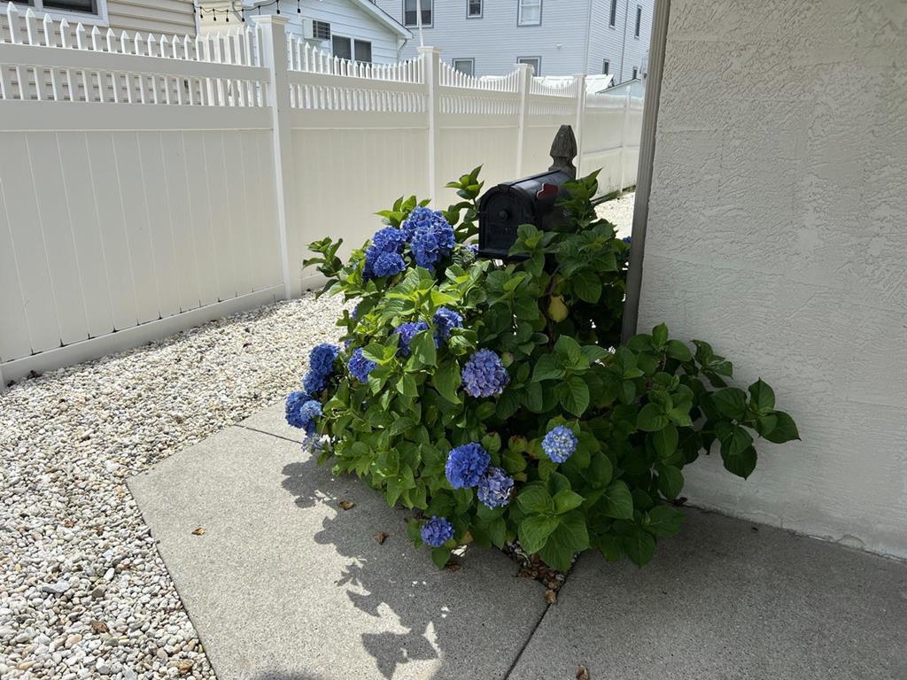 110 70th St, Sea Isle City (Center)